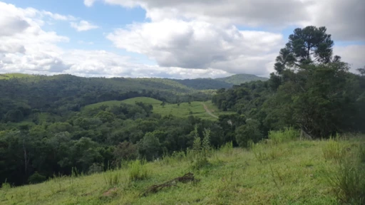 Fazenda 1.160 hectares em Doutor Pedrinho, SC
