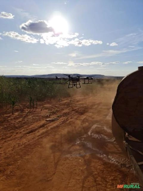 Pulverização por Drones