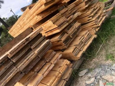vendo madeira serrada de eucalipto dunni, pinus e pinheiro arucária