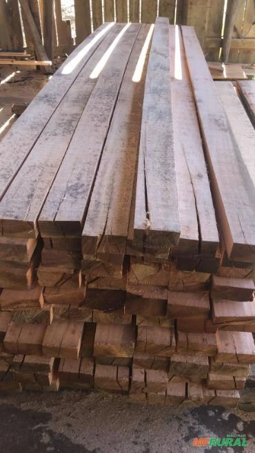 vendo madeira serrada de eucalipto dunni, pinus e pinheiro arucária