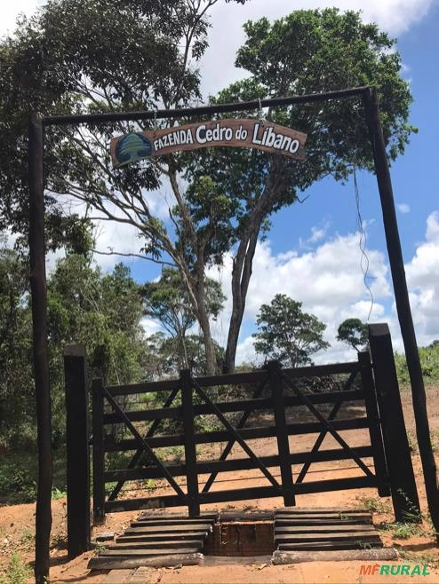 Procuro investidor em Fazenda Imagem Procuro investidor em Fazenda