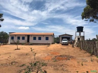 Imagem Procuro investidor em Fazenda Imagem Procuro investidor em Fazenda