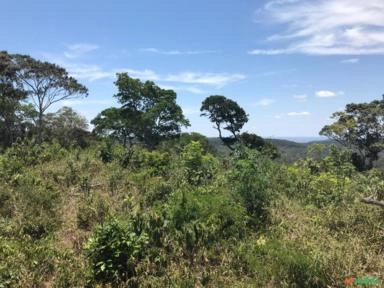 Imagem Procuro investidor em Fazenda Imagem Procuro investidor em Fazenda