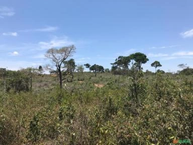 Imagem Procuro investidor em Fazenda Imagem Procuro investidor em Fazenda