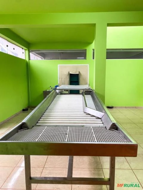 LINHA DE EXTRAÇÃO DE SUCO DE LARANJA Imagem LINHA DE EXTRAÇÃO DE SUCO DE LARANJA