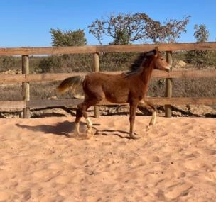 Depoimento de anúncio vendido Depoimento de anúncio vendido