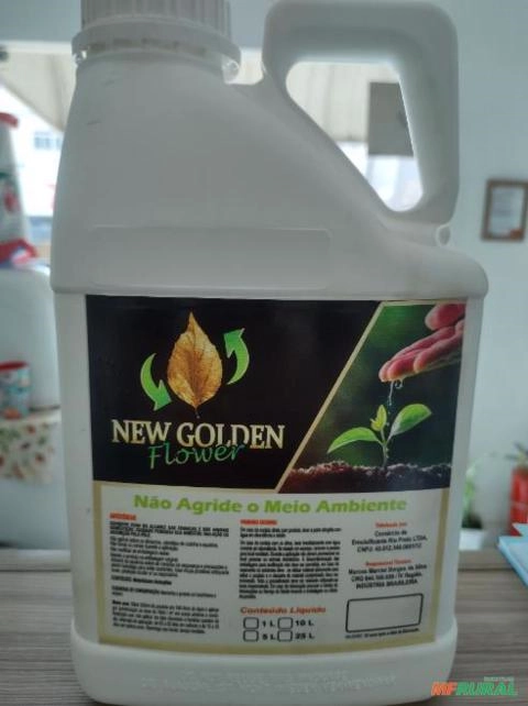 New Golden Flower Imagem New Golden Flower