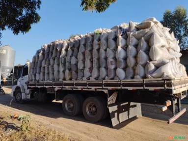 Imagem Cama de frango Imagem Cama de frango