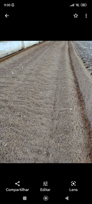 Imagem Cama de frango Imagem Cama de frango