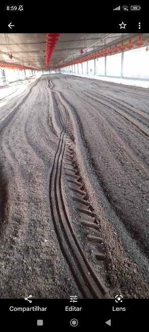 Imagem Cama de frango Imagem Cama de frango