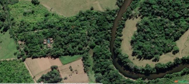 Produtor de Palmito pupunha (SP-RJ) - procuro parceiro comercial ! Imagem Produtor de Palmito pupunha (SP-RJ) - procuro parceiro comercial !