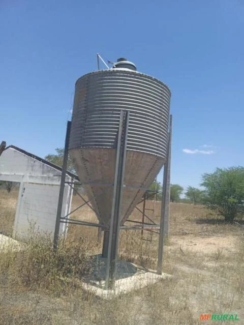 10 Silos metálicos , 5 Toneladas para rações , grãos e farelados .