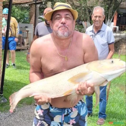 Pesqueiro José Lopes
