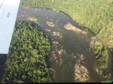 Floresta Amazonia area do Para terra rural rica em madeira e varios minerais 4.200 ha