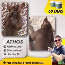 Suplemento Cachorro Forte- Seu Melhor Amigo Mais Forte e Saudável