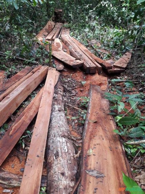 Imagem Madeira rústica Imagem Madeira rústica