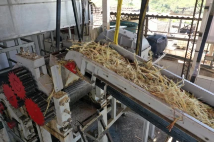 Fazenda para gado e cultivo de cana-de-açucar com 120 ha e indústria/engenho de cachaça