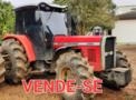Trator Massey Ferguson 299 4x2 ano 96 Imagem Trator Massey Ferguson 299 4x2 ano 96