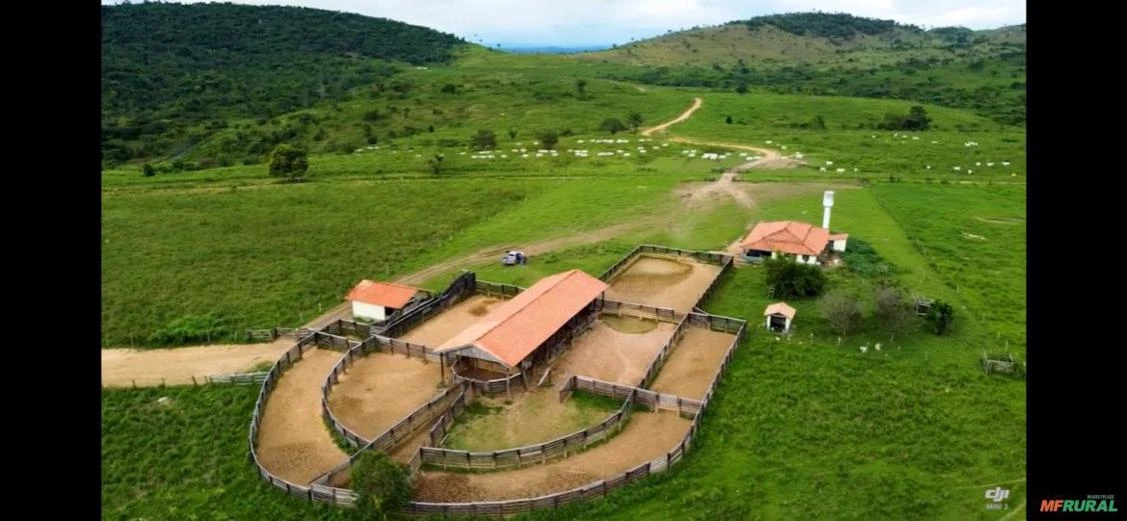 Parceria para plantio de milho e soja em 300 hectares.