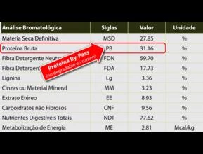 Cevada Processada