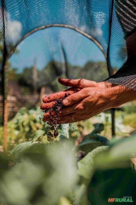 Adubo Orgânico - Fertilizante orgânico Classe A Imagem Adubo Orgânico - Fertilizante orgânico Classe A
