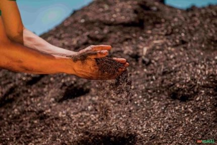 Imagem Adubo Orgânico - Fertilizante orgânico Classe A Imagem Adubo Orgânico - Fertilizante orgânico Classe A