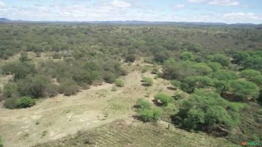 Fazenda medindo 307,00 hectares em Caraúbas-PB.