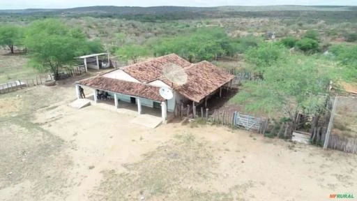 Fazenda medindo 307,00 hectares em Caraúbas-PB.