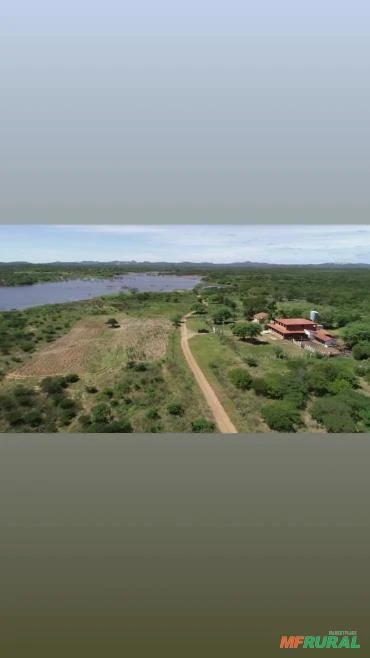 Fazenda medindo 72,00 hectares em Jabitaca-PE