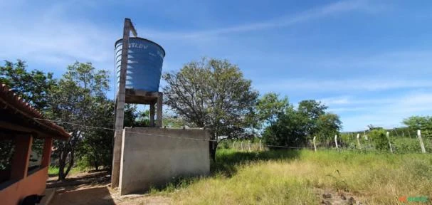 Fazenda medindo 72,00 hectares em Jabitaca-PE