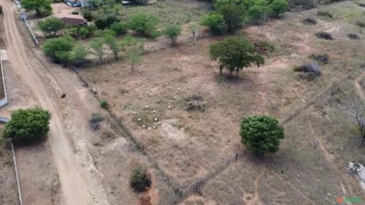 Fazenda medindo 162,00 hectares em Sertânia-PE.