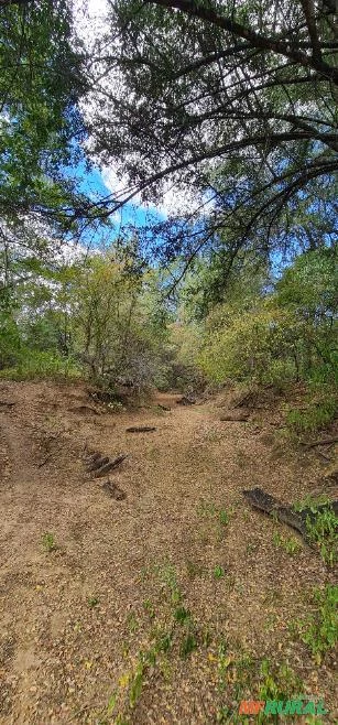 Fazenda medindo 162,00 hectares em Sertânia-PE.