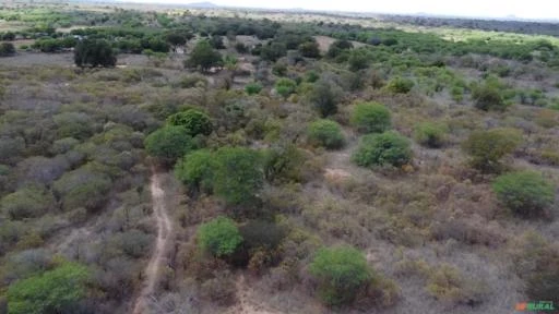 Fazenda medindo 162,00 hectares em Sertânia-PE.