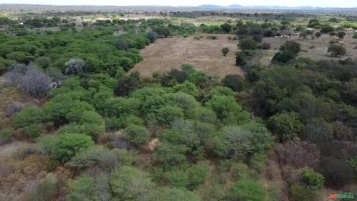 Fazenda medindo 162,00 hectares em Sertânia-PE.