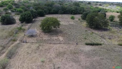 Fazenda medindo 162,00 hectares em Sertânia-PE.