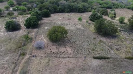 Fazenda medindo 162,00 hectares em Sertânia-PE.