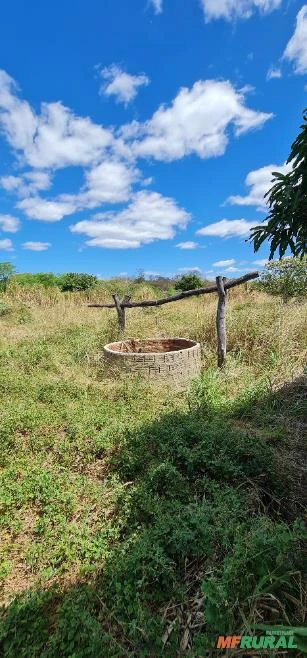 Vendo Sitio com 80,00 hectares em Sertânia-PE