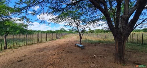 Vendo Sitio com 80,00 hectares em Sertânia-PE