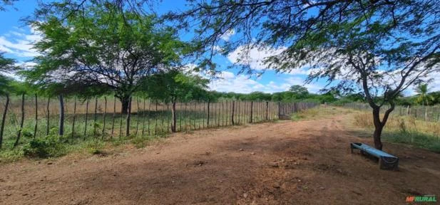 Vendo Sitio com 80,00 hectares em Sertânia-PE