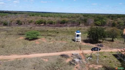 Vendo Sitio com 80,00 hectares em Sertânia-PE