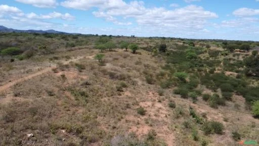 Vendo Sitio com 80,00 hectares em Sertânia-PE