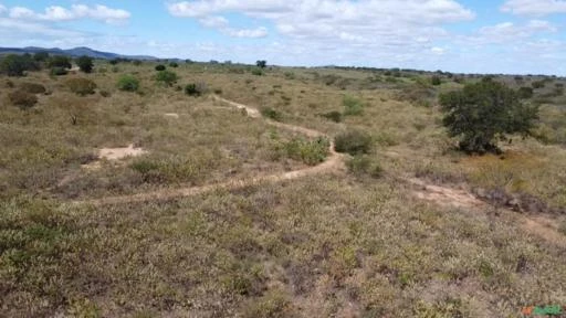 Vendo Sitio com 80,00 hectares em Sertânia-PE