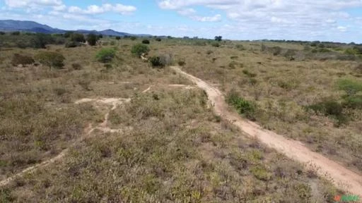 Vendo Sitio com 80,00 hectares em Sertânia-PE