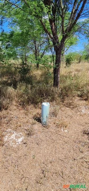 Vendo Sitio com 80,00 hectares em Sertânia-PE