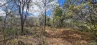 Fazenda em Monteiro-PB medindo 180 hectares