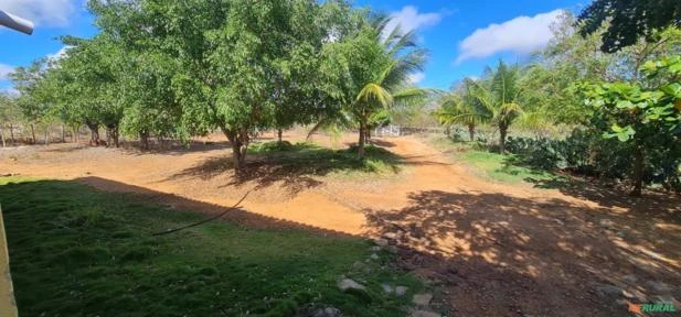 Fazenda em Monteiro-PB medindo 180 hectares