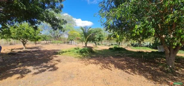 Fazenda em Monteiro-PB medindo 180 hectares