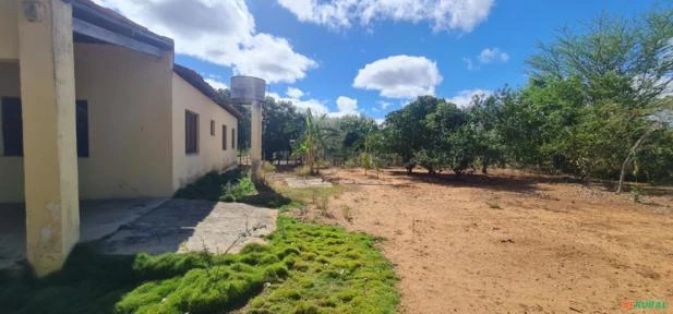 Fazenda em Monteiro-PB medindo 180 hectares