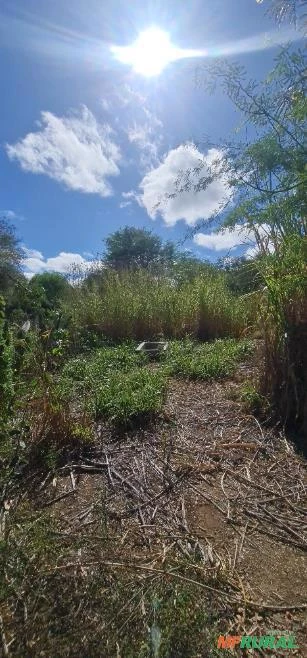 Fazenda em Monteiro-PB medindo 180 hectares