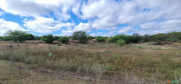 Fazenda em Monteiro-PB medindo 180 hectares